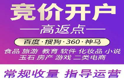 行业标杆的SEM竞价营销案例研究